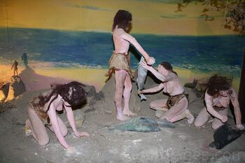Совсем не каменные ( . )( . ), и даже очень красивые. В представлении доисторических Любителей. И да, покровов нет.